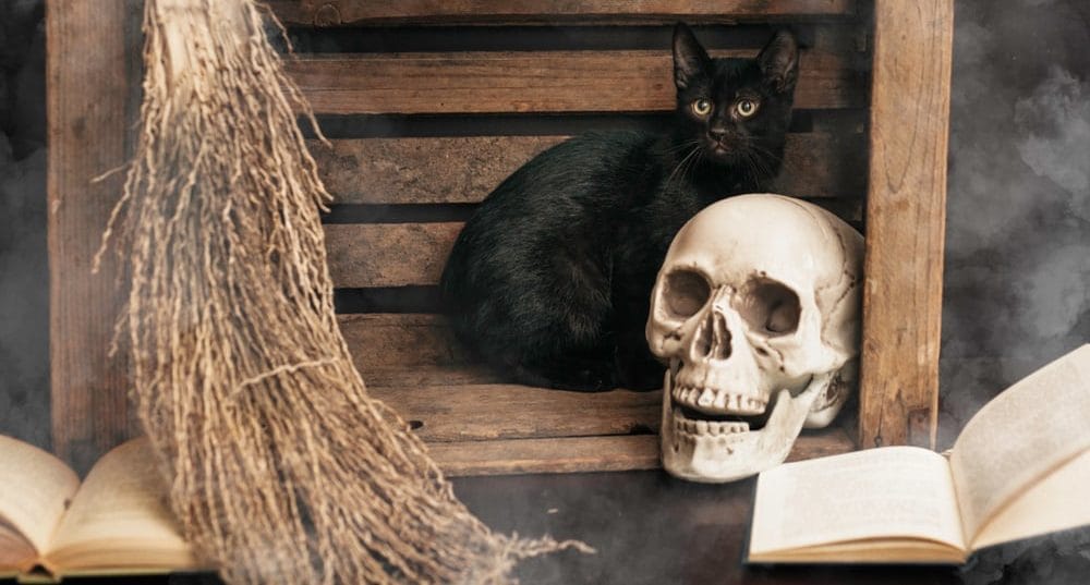 SChwarze Katzen und Aberglaube: Hexen und Mittelalter