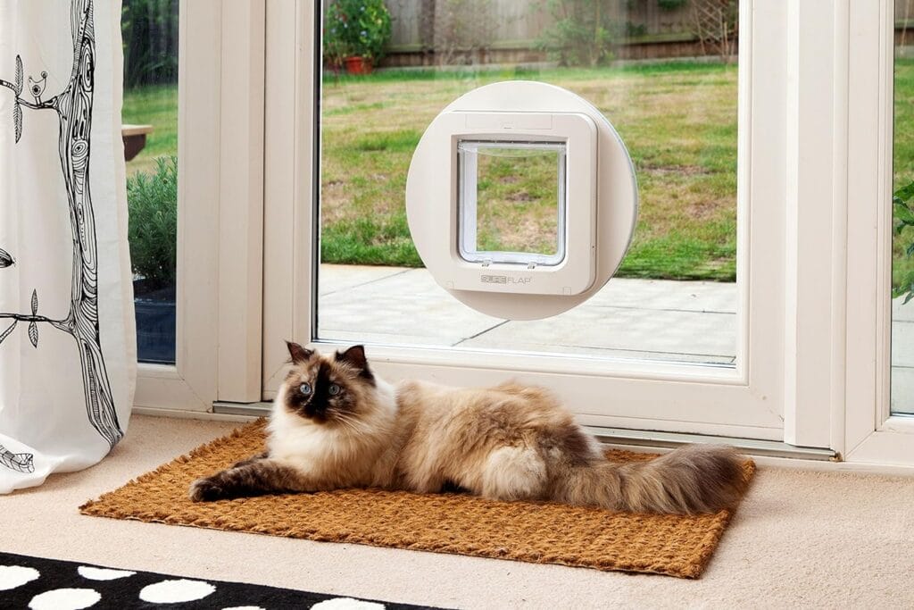 SureFlap Katzenklappe
