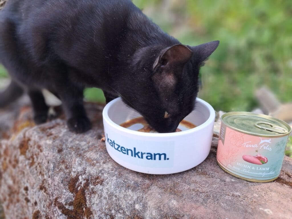 Ponpon Terra Felis Katzenfutter