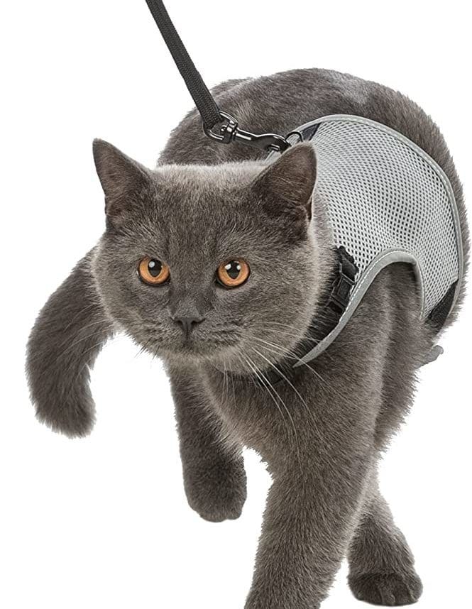 Trixie Katzen Softgeschirr
