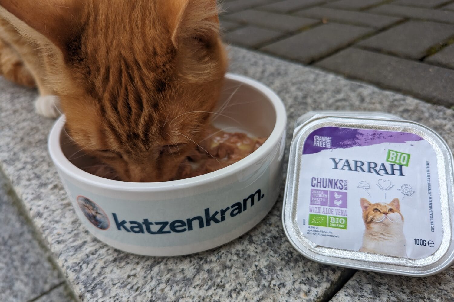 Azrael der Kater probiert Yarrah Bio Nassfutter