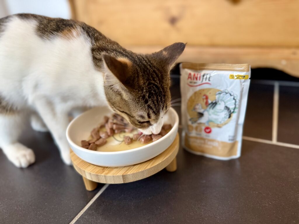 Katze Matilda frisst ANIfit Frischebeutel Truthahn Tango – Nassfutter mit stückiger Textur und Soße im Napf
