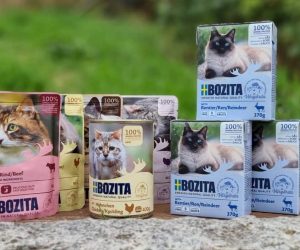 Bozita Katzenfutter Test