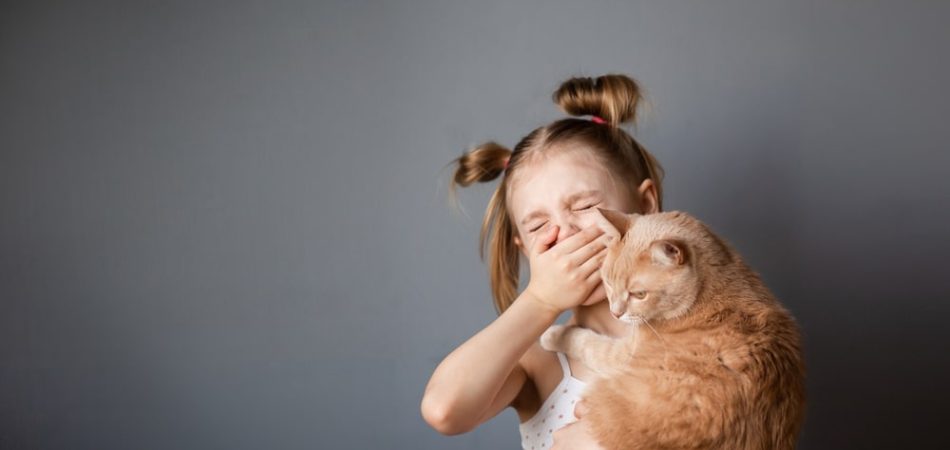 Katzen für Allergiker