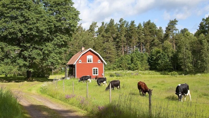 Tierhaltung und Herstellung in Schweden