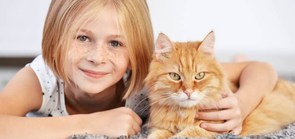 Katzenjahre in Menschenjahre (2)