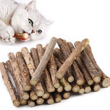 Katzenminze Sticks