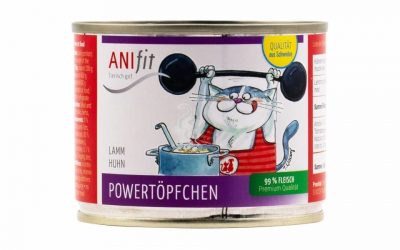 Rangliste unserer favoritisierten Kokosöl bei katzen