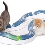 Ballschiene für Katzen