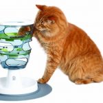 Futterlybyrinth für Katzen