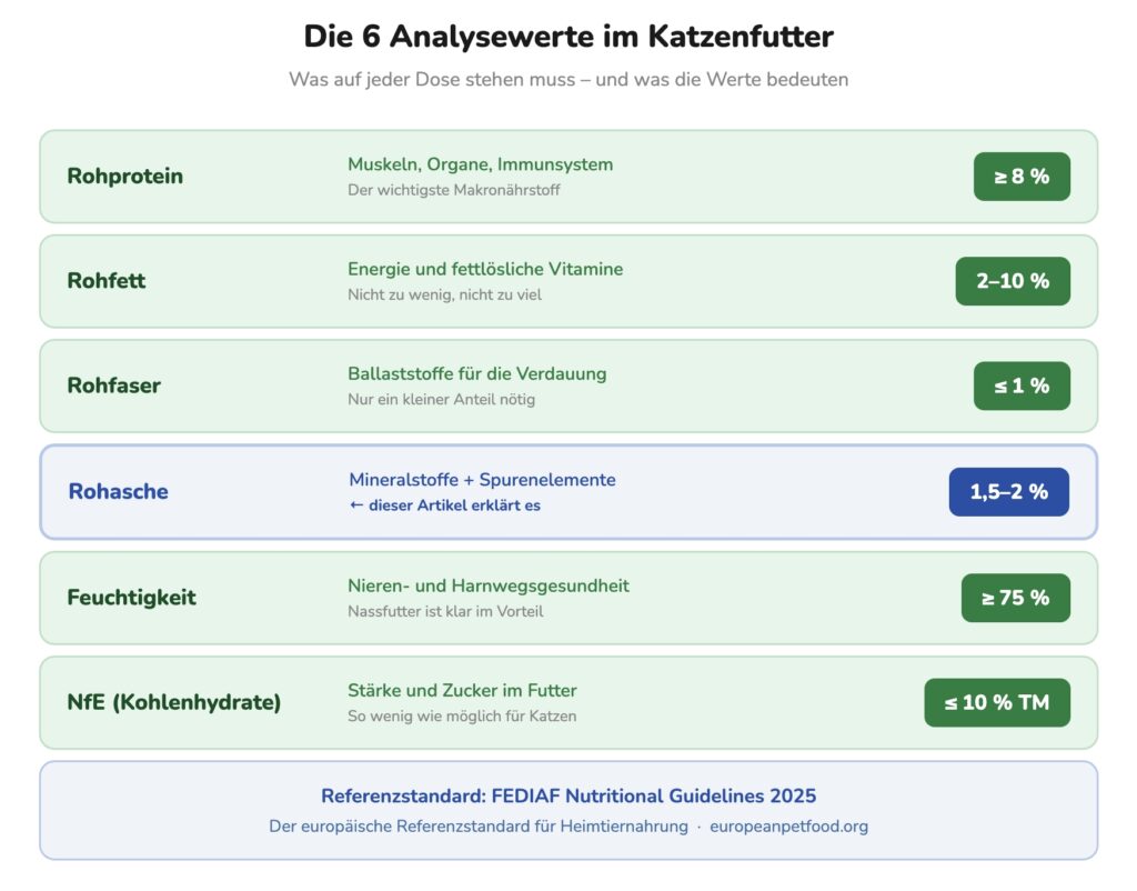 Die 6 Analysewerte im Katzenfutter: Rohprotein, Rohfett, Rohfaser, Rohasche, Feuchtigkeit und NfE mit Richtwerten erklärt