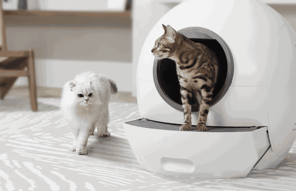 selbstreinigende Katzen Toilette